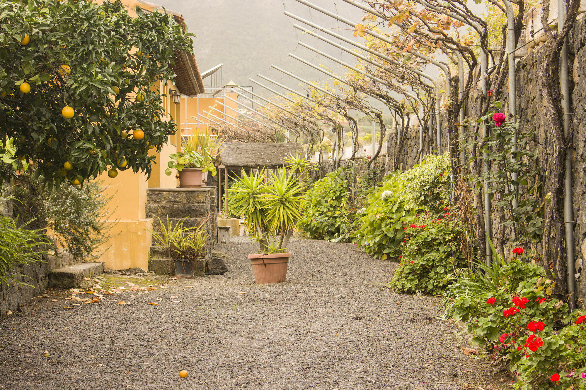 Casa Rural La Tanquera Los Realejos Kültér fotó